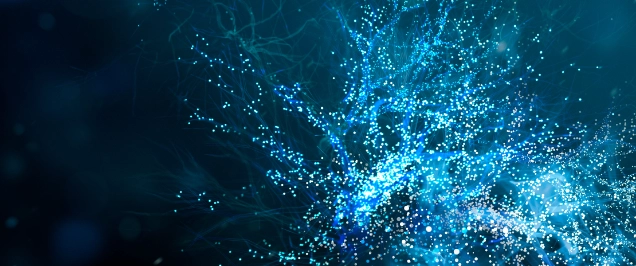 Indonesia’s Digital Finance Innovation Roadmap