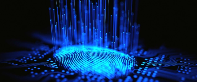 Digital image of fingerprint